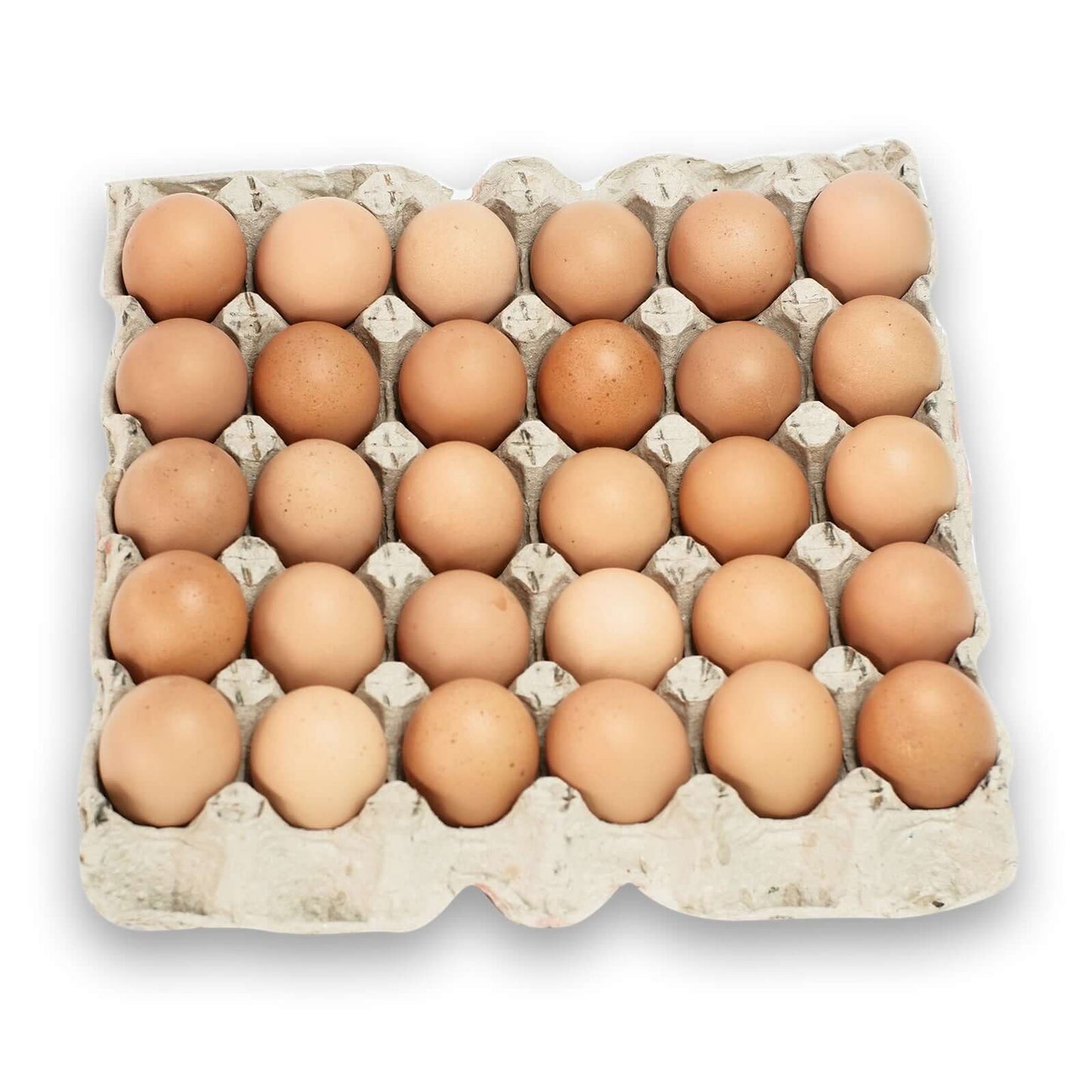 Egg Pack of 10 (brown)